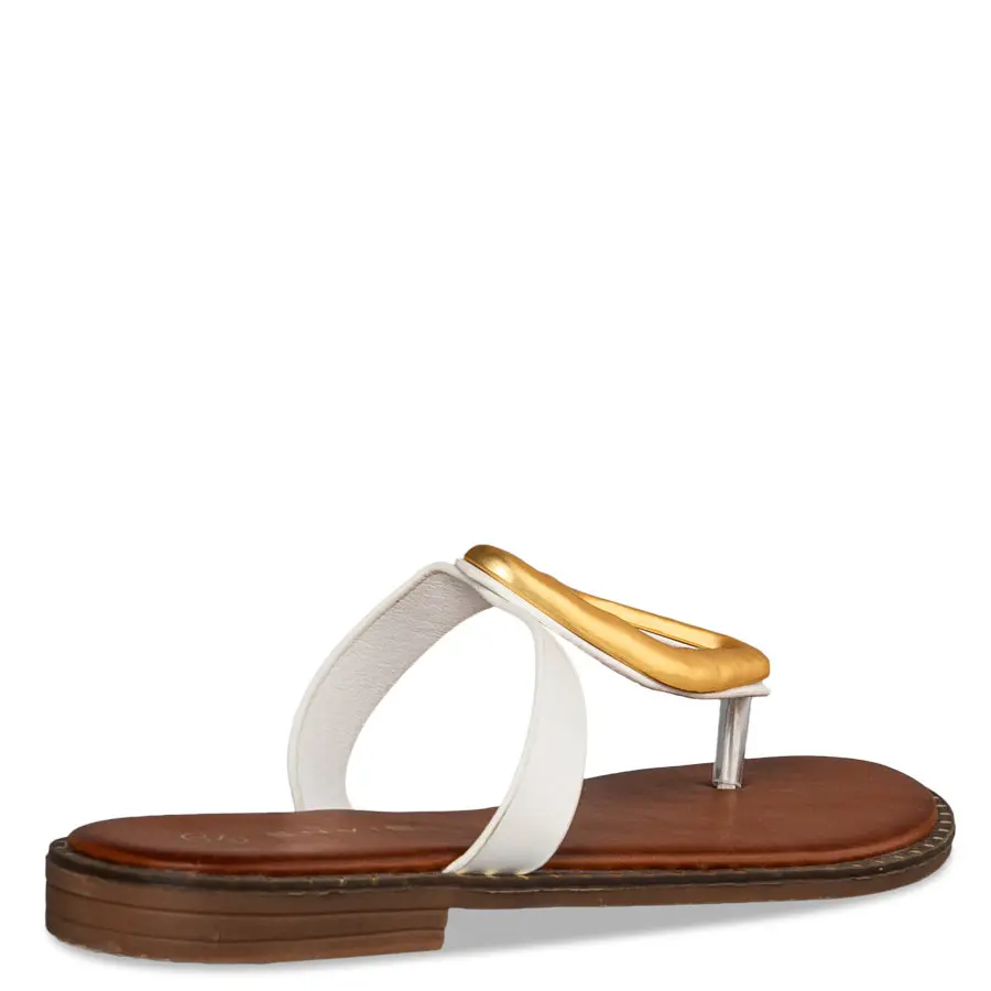 e96-19034-33-dsc_6198_3_